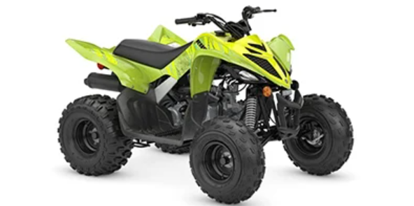 Sport Utility ATV Quad Bike for Off-Road Adventure